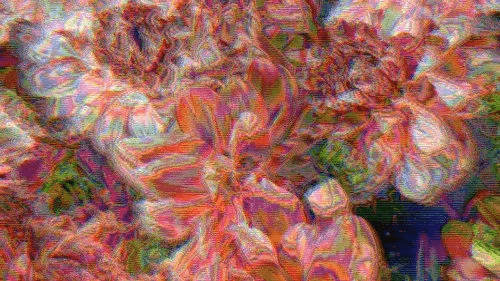Gallery content